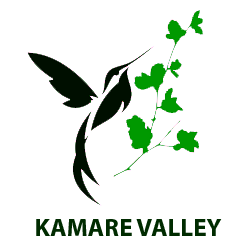 Home - Kamare Valley