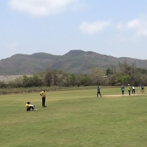 cricket