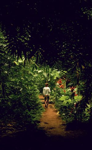 young-woman-jungle-rock-bali-indonesia